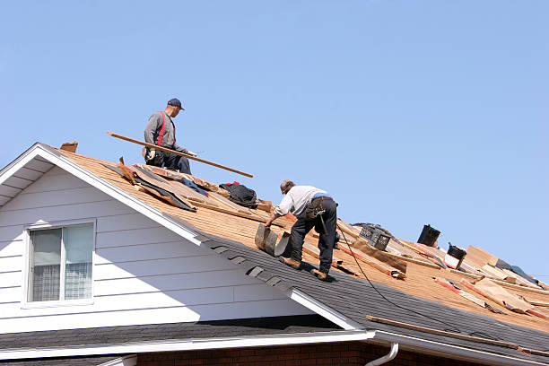 Fast & Reliable Emergency Roof Repairs in River Grove, IL