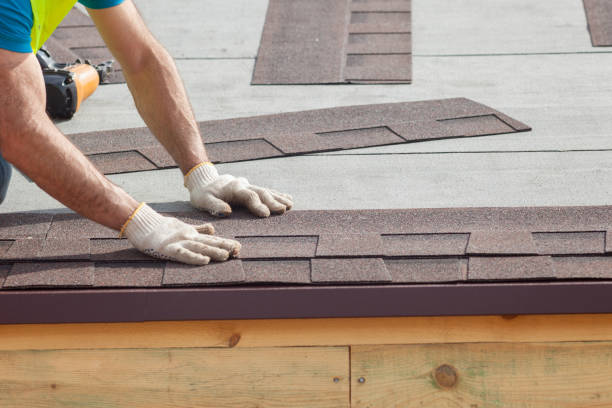 Best Metal Roofing Installation  in River Grove, IL